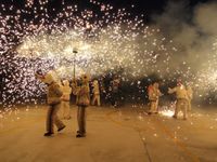 fotofies2010-11